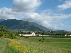 reffobassano